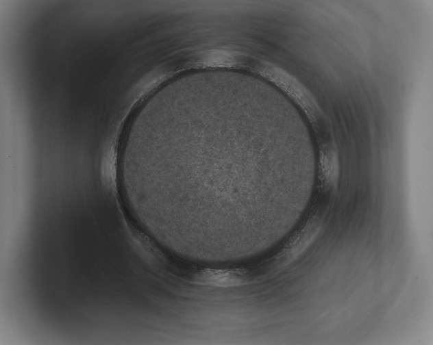 X0000101990534200807251228