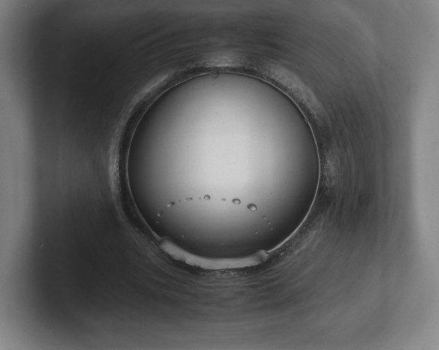 X0000101990535200807251228