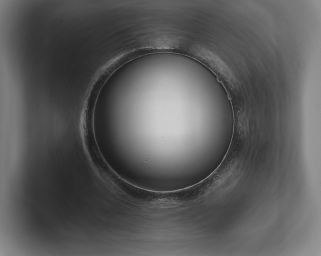 X0000101990536200807251228