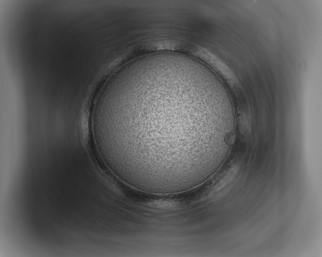 X0000101990537200807251228