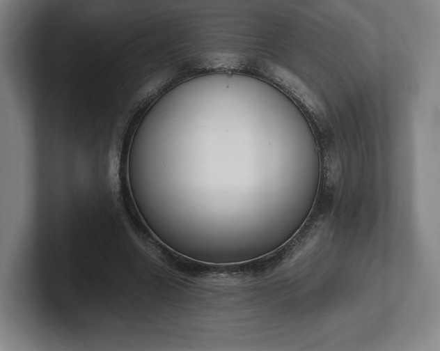 X0000101990538200807251228