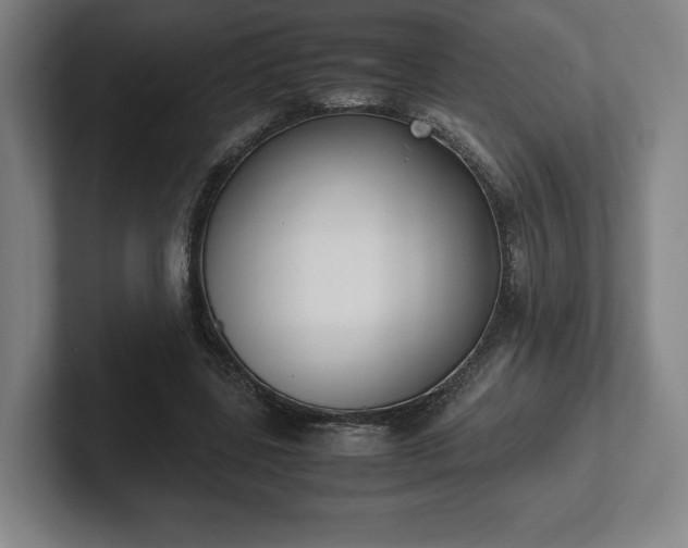X0000101990539200807251228