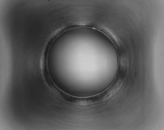 X0000101990540200807251228