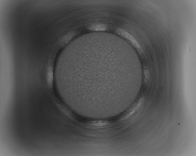 X0000101990541200807251228
