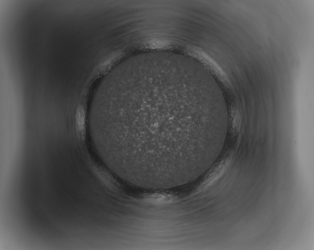 X0000101990542200807251228