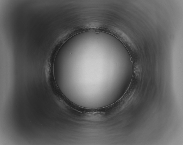X0000101990544200807251228