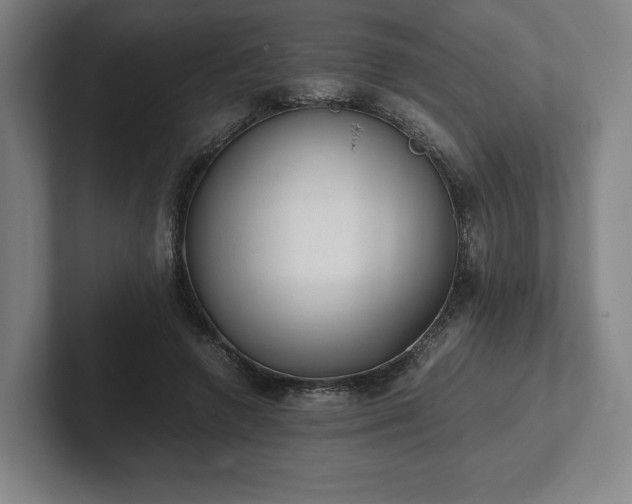 X0000101990546200807251228