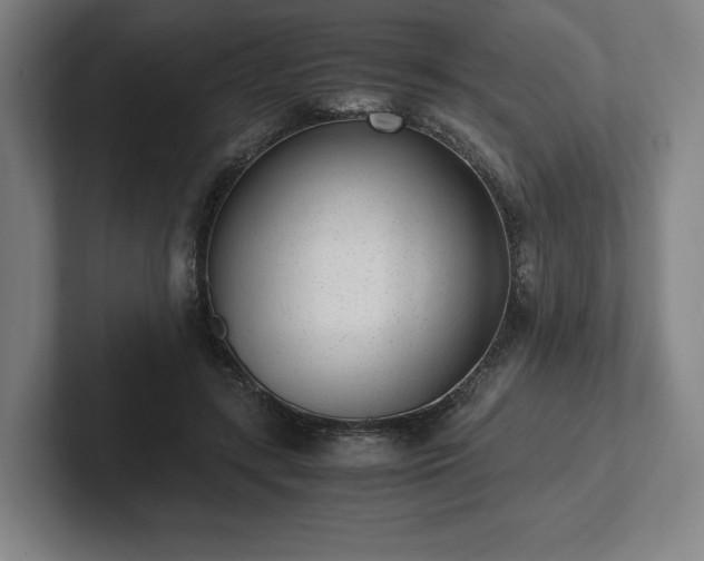 X0000101990547200807251228