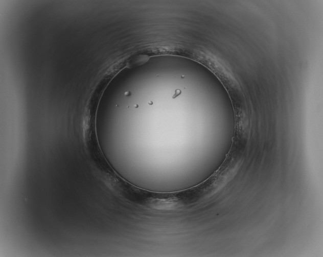 X0000101990548200807251228