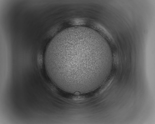 X0000101990549200807251228