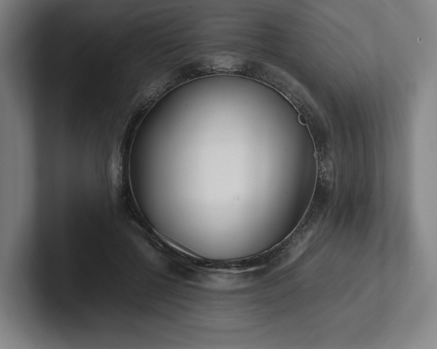 X0000101990552200807251228