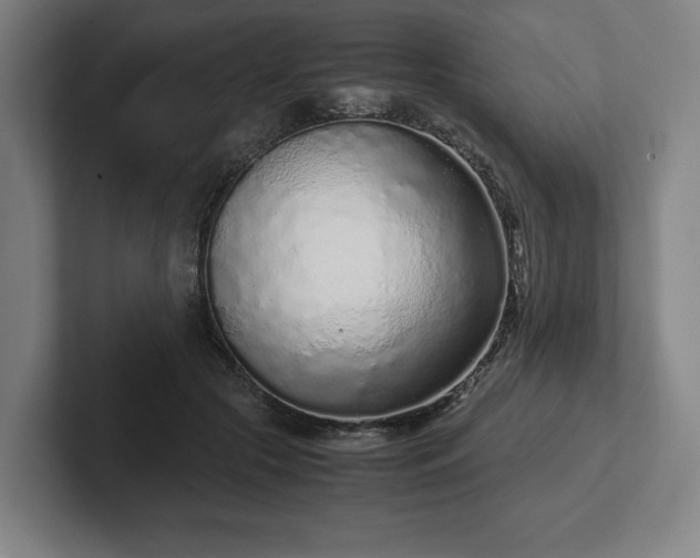 X0000101990553200807251228