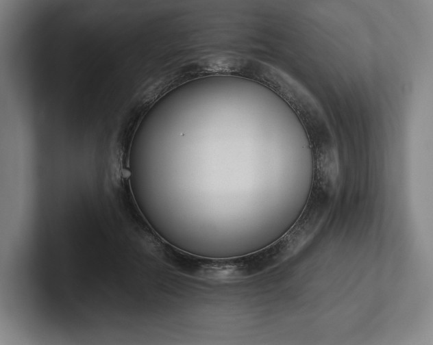 X0000101990554200807251228