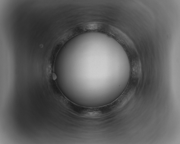X0000101990555200807251228