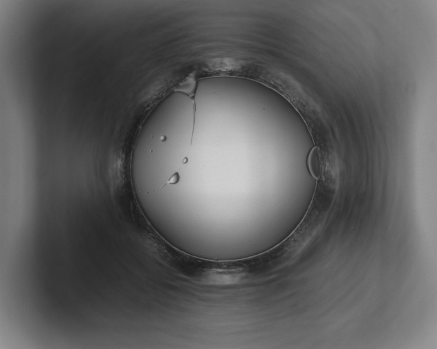X0000101990556200807251228