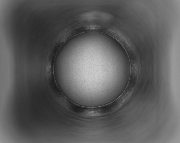X0000101990557200807251228