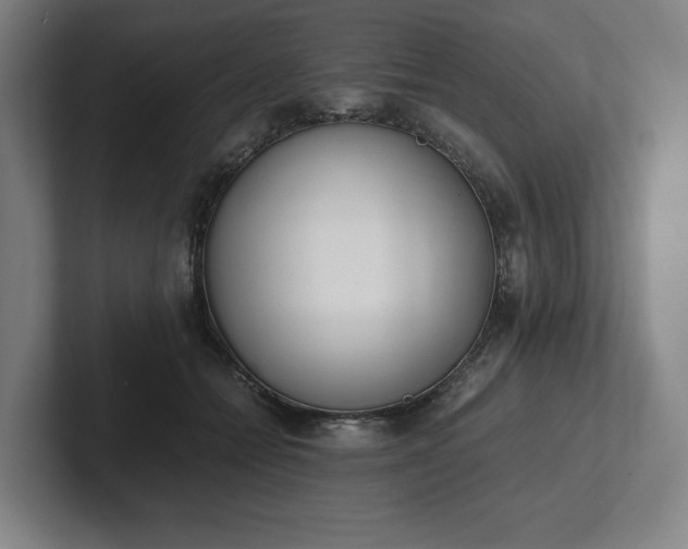 X0000101990558200807251228