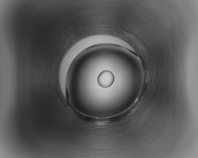 X0000101990560200807251228