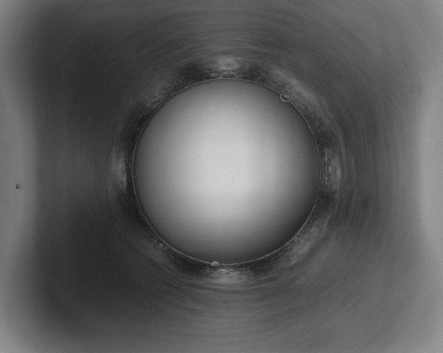 X0000101990562200807251228