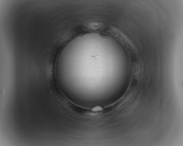 X0000101990563200807251228