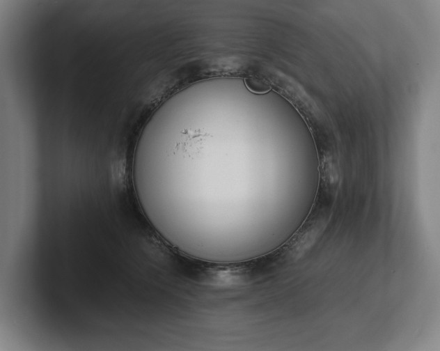 X0000101990564200807251228