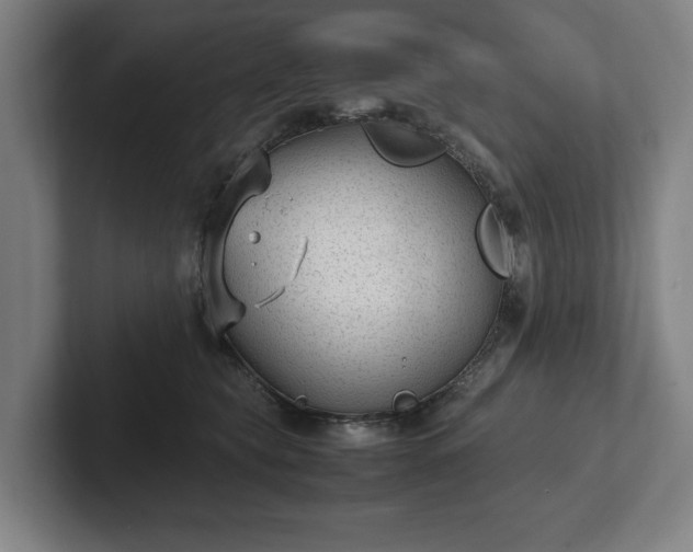 X0000101990565200807251228