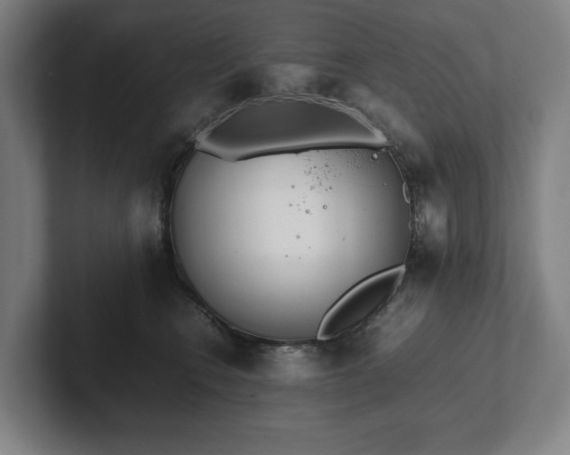 X0000101990566200807251228