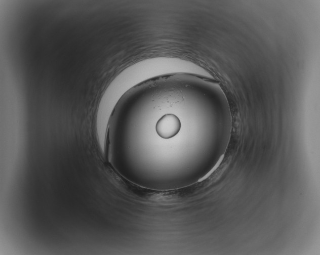 X0000101990568200807251228