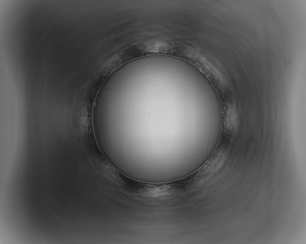 X0000101990569200807251228