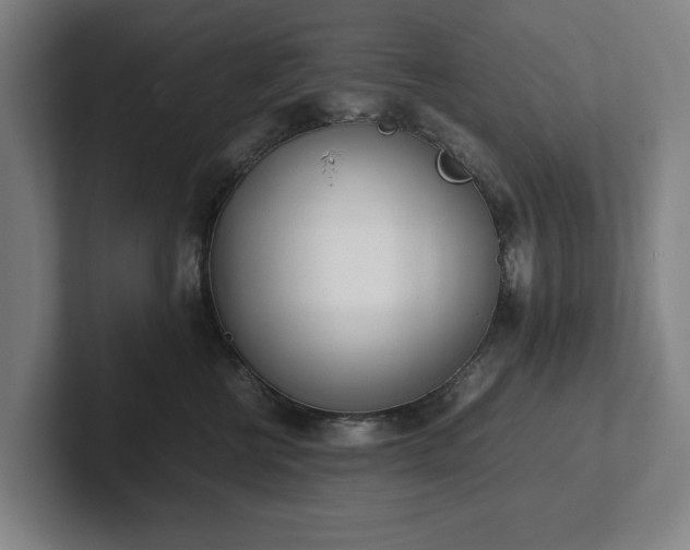 X0000101990570200807251228
