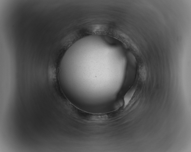 X0000101990571200807251228