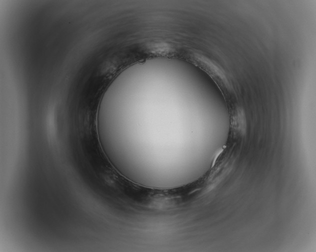 X0000101990572200807251228