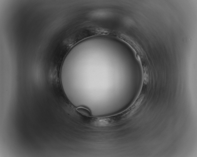 X0000101990573200807251228