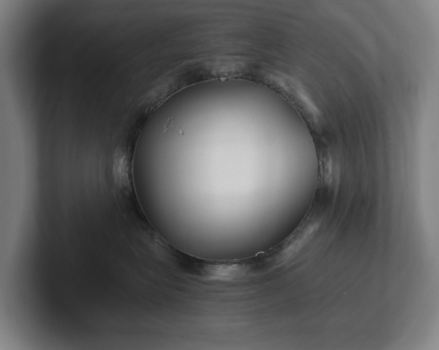 X0000101990575200807251228