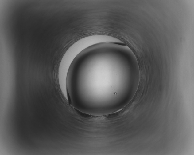 X0000101990576200807251228