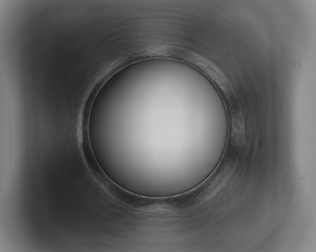X0000101990578200807251228