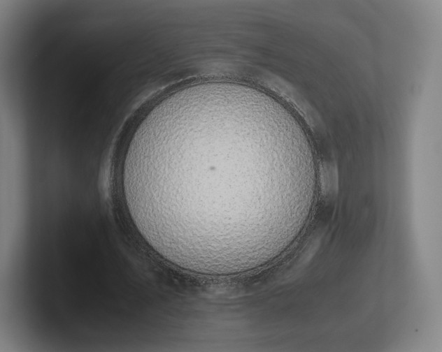 X0000101990579200807251228
