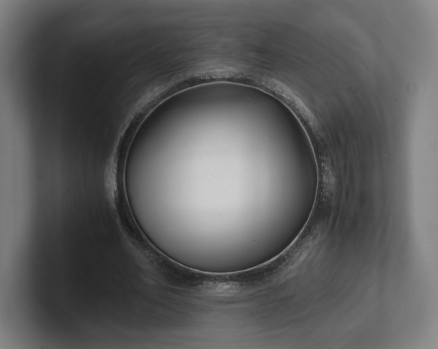 X0000101990582200807251228