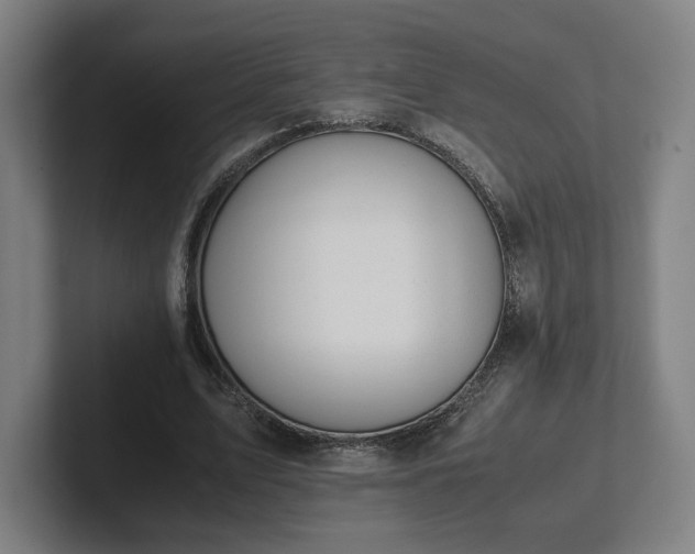 X0000101990583200807251228