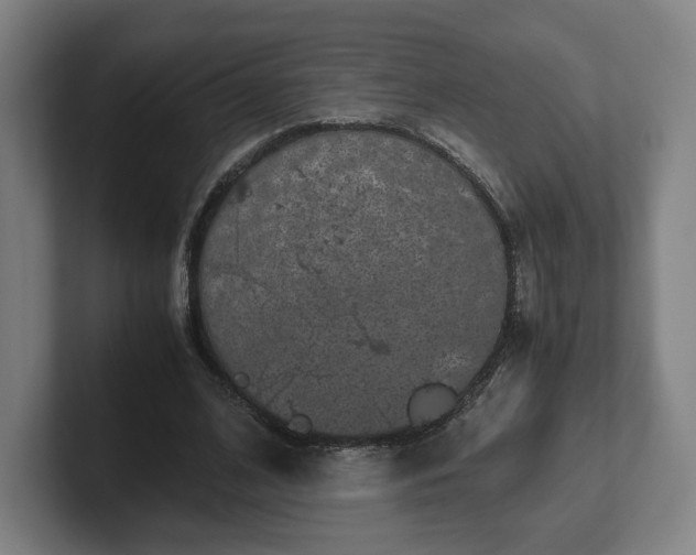 X0000101990584200807251228