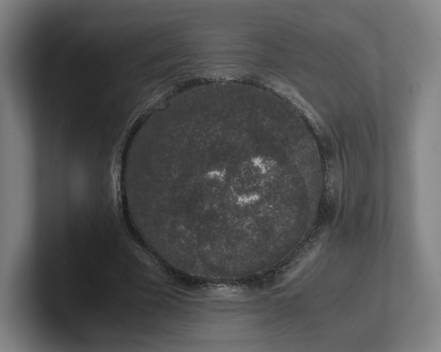 X0000101990585200807251227