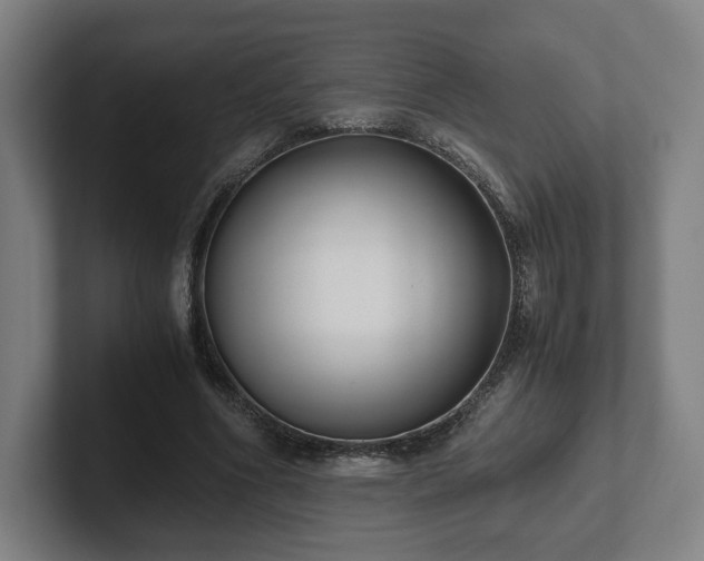 X0000101990586200807251227