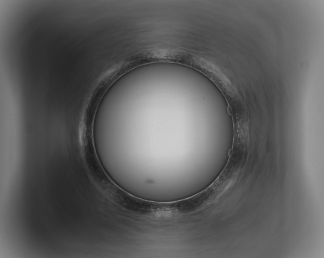 X0000101990587200807251227