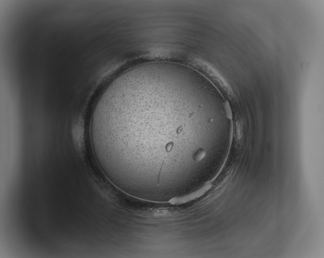 X0000101990588200807251227
