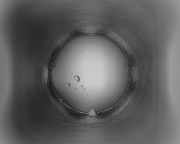 X0000101990589200807251227