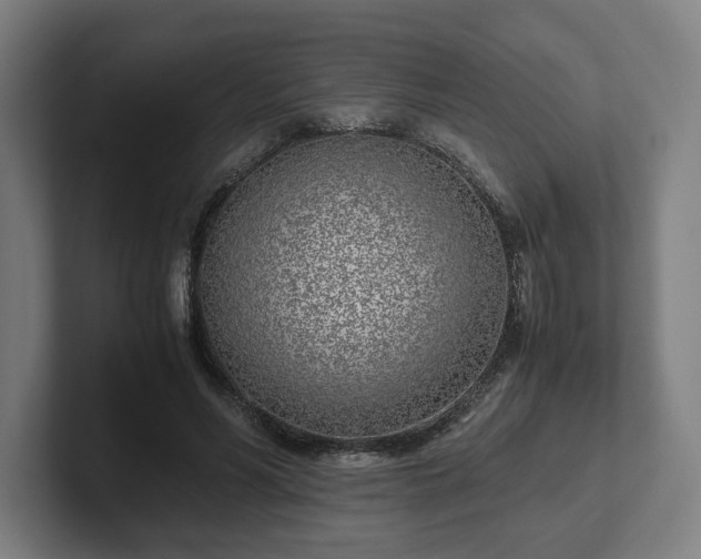 X0000101990590200807251227