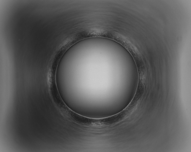 X0000101990591200807251227