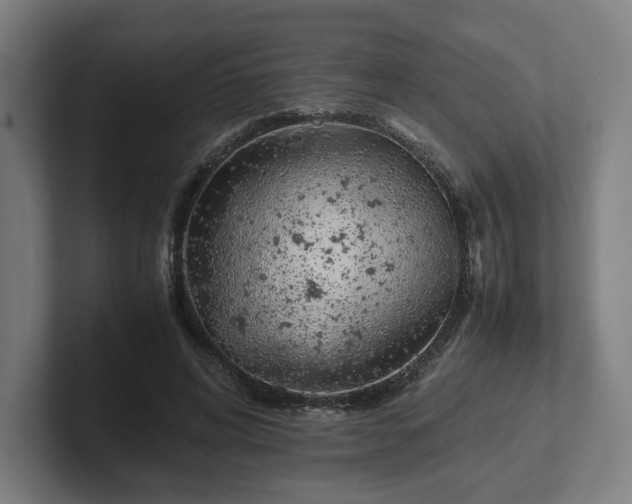 X0000101990592200807251227