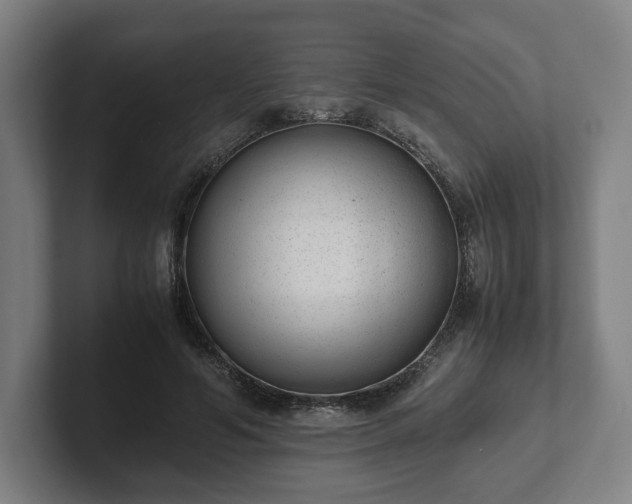 X0000101990594200807251227