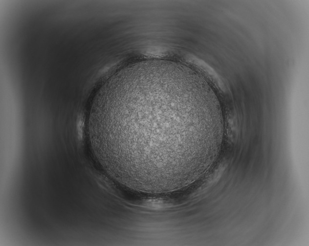 X0000101990596200807251227
